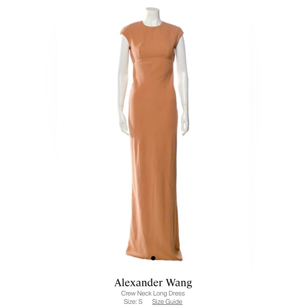 Alexander Wang dress